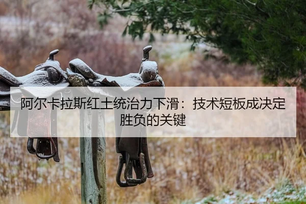 a-er-ka-la-si-hong-tu-tong-zhi-li-xia-hua-ji-shu-duan-ban-cheng-jue-ding-sheng-fu-de-guan-jian-2-357.jpg