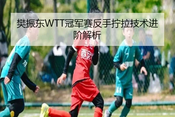 樊振东WTT冠军赛反手拧拉技术进阶解析