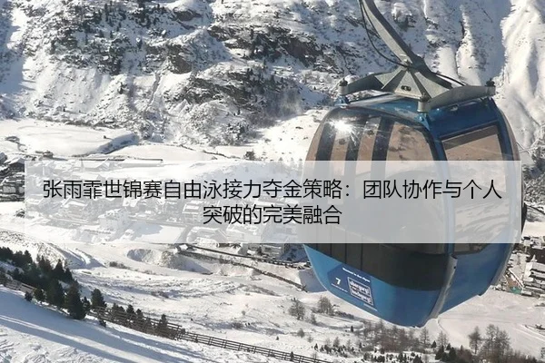 zhang-yu-fei-shi-jin-sai-zi-you-yong-jie-li-duo-jin-ce-lve-tuan-dui-xie-zuo-yu-ge-ren-tu-po-de-wan-mei-rong-he-3-227.jpg